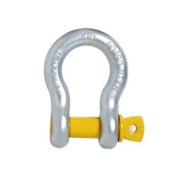 Bow Shackle 6.5T