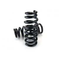Amarok Front Coil Springs (Expedition)