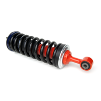 D40 (Petrol) Assembled Struts (Trail)