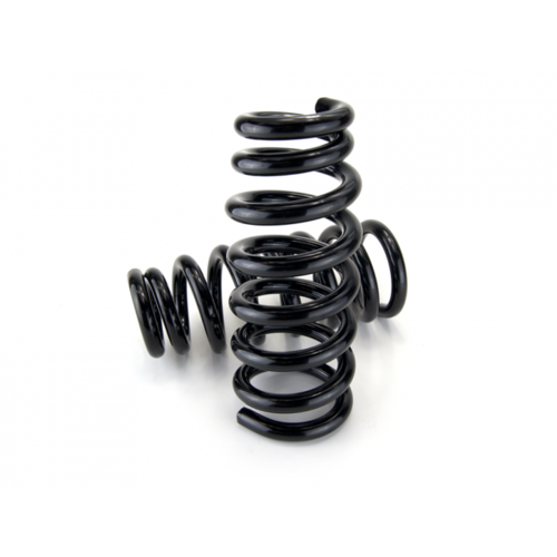 Amarok Front Coil Springs (Expedition)